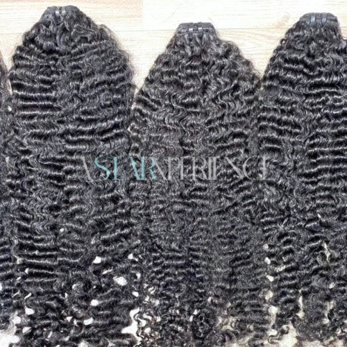 BURMESE CURLY